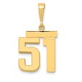 thumbnail image 1 of Auriga 14K Yellow Gold Medium Polished Number 51 Charm for Women, 1 of 1