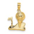 thumbnail image 1 of Auriga 14K Yellow Gold Polished Golfing Charm Pendant for Women (L-13.5 mm,W-14 mm), 1 of 6