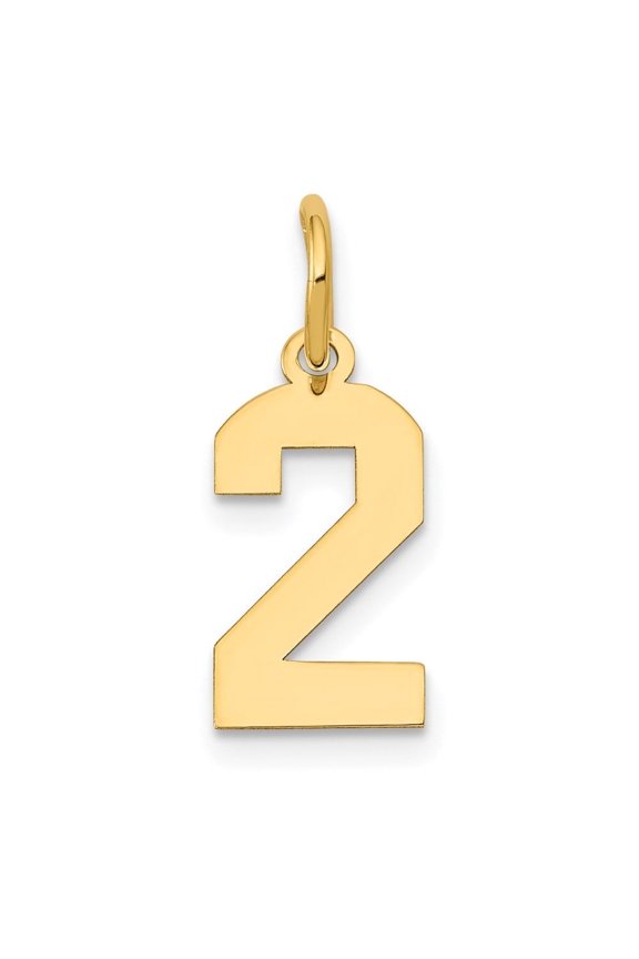 14K Yellow Gold Polished Number 2 Charm for Women (L - 14.38 mm, W - 6.98 mm)