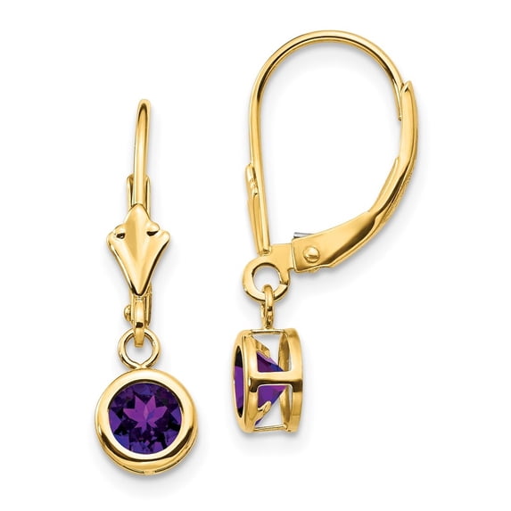 Auriga Fine Jewelry 14K Yellow Gold 5mm Amethyst Dangle Earrings for Women (L- 0.95 inch, W- 0.24 inch)