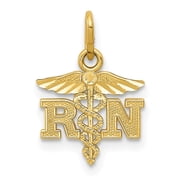 Auriga 14k Yellow Gold Diamond-cut Polished RN Nurse Pendant Length - 16.21mm, Width - 11.14mm