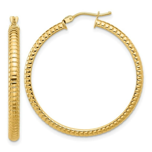 Auriga 14k Yellow Gold Polished and Textured Round Hoop Earrings for Women