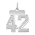 thumbnail image 1 of Auriga 925 Sterling Silver/Rhodium-plated Satin Number 42 Charm for Women (L-22mm, W-18mm), 1 of 6