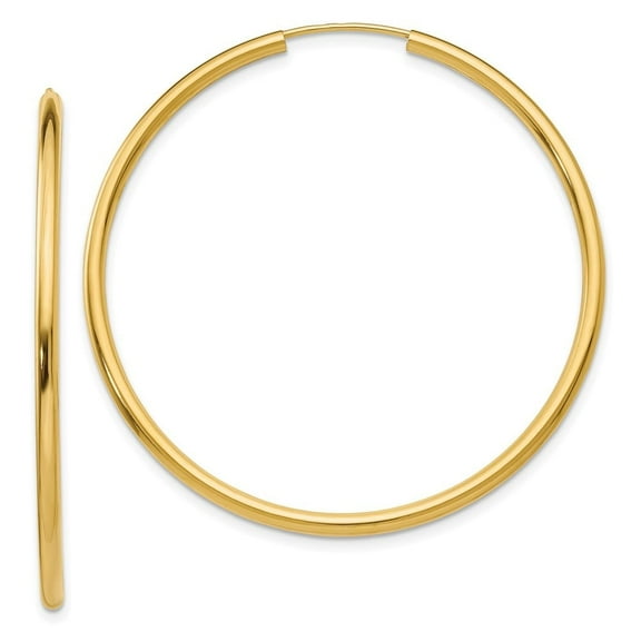 Auriga Fine Jewelry 10K Yellow Gold 2mm Round Endless Hoop Earrings for Women
