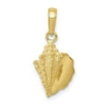 thumbnail image 1 of Auriga Fine Jewelry 10K Yellow Gold Conch Shell Pendant for Women (L-24 mm,W-11 mm), 1 of 5