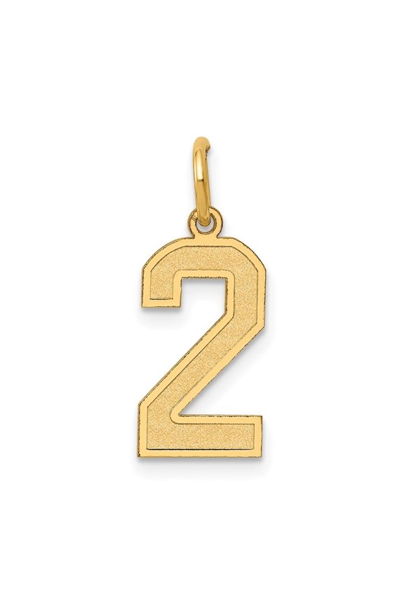 Fine Jewelry 10K Yellow Gold Medium Satin Number 2 Charm for Women (L-20 mm, W-8 mm)
