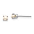 thumbnail image 1 of Auriga Fine Jewelry 14K White Gold 3.5mm Pearl Stud Earrings for Women, 1 of 5