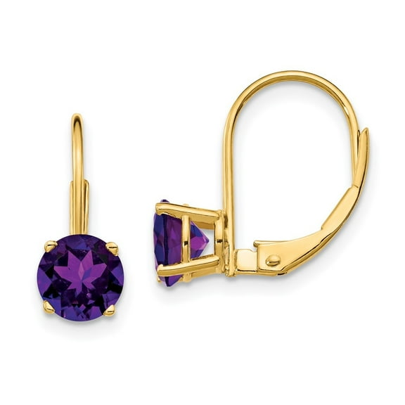 Auriga Fine Jewelry 14K Yellow Gold Amethyst Drop Earrings for Women (L- 0.71 inch, W- 0.24 inch)