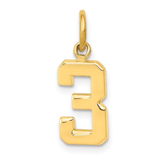 Auriga Fine Jewelry 14K Yellow Gold Casted Polished Number 3 Charm Pendant for Women (L-15.26mm, W-7.33mm)
