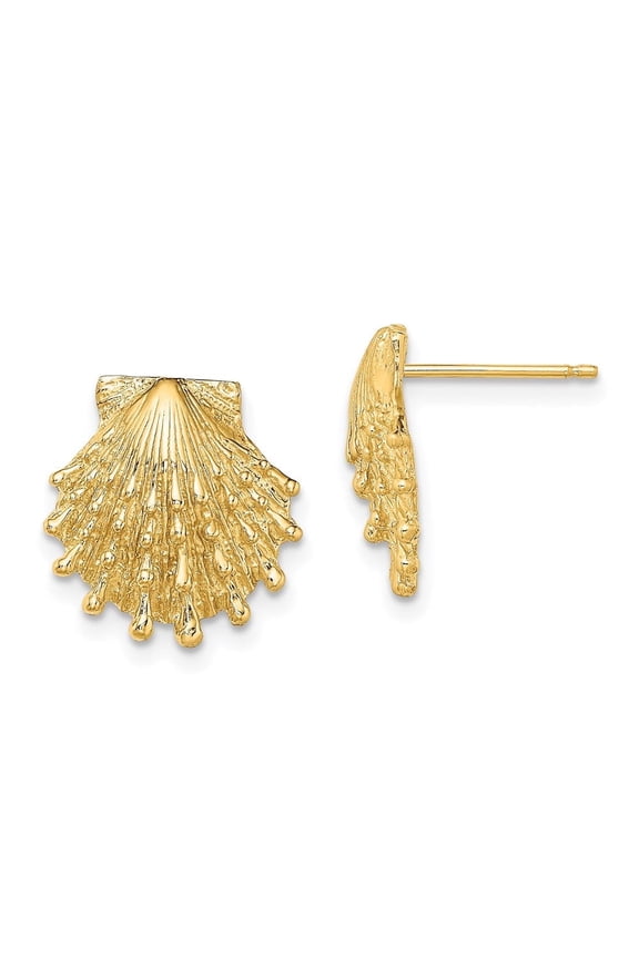 Fine Jewelry 14K Yellow Gold Lion's Paw Shell Stud Earrings for Women