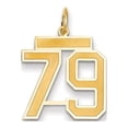 thumbnail image 1 of Auriga Fine Jewelry 14K Yellow Gold Medium Satin Number 79 Charm for Women, 1 of 3