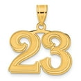 thumbnail image 1 of Auriga Fine Jewelry 14K Yellow Gold Polished Etched Number 23 Pendant for Women, 1 of 3
