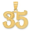 thumbnail image 1 of Auriga Fine Jewelry 14K Yellow Gold Polished Etched Number 35 Pendant for Women, 1 of 3