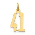 thumbnail image 1 of Auriga Fine Jewelry 14K Yellow Gold Elongated Number 41 Charm for Women, 1 of 6