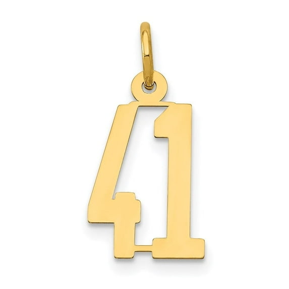 Auriga Fine Jewelry 14K Yellow Gold Elongated Number 41 Charm for Women