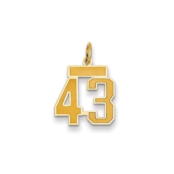 Auriga Fine Jewelry 14K Yellow Gold Small Satin Number 43 Charm for Women