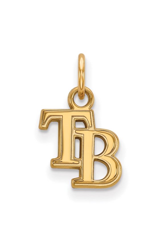 Fine Jewelry 14K Yellow Gold T-B Extra Pendant for Women (L-15 mm, W-9 mm)