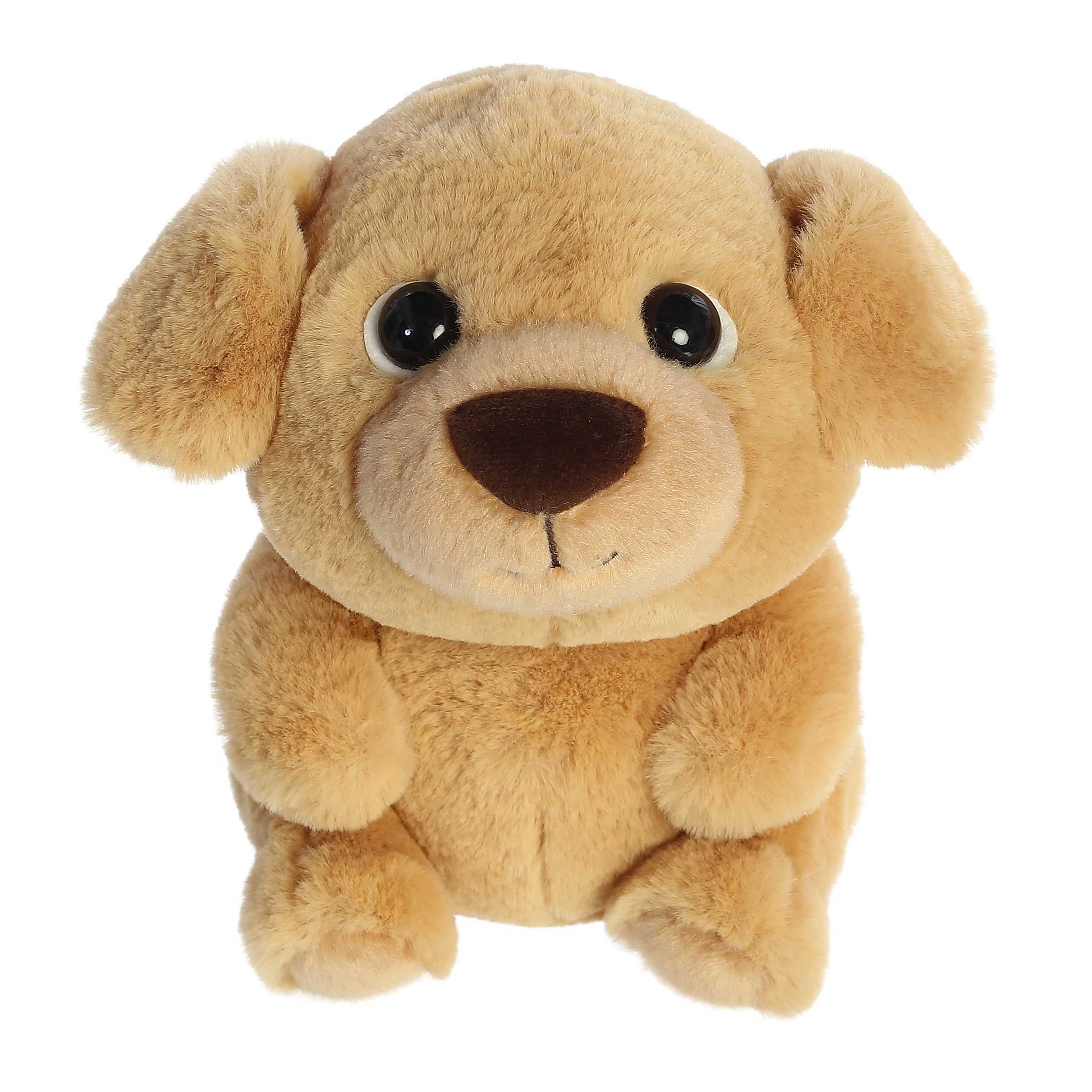 Aurora Playful Teddy Pets Pom Stuffed Animal – Super Soft Pomeranian Plush Toy (9 Inches, Black & White)