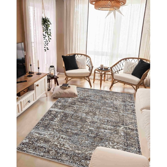 Aurora Modern Transitional Boho Vintage Area Rug Indoor for Living Room Color Grey Beige Cream Design 9912