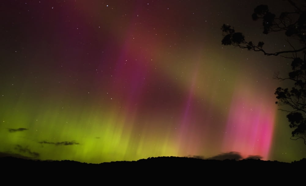 Aurora Australis Stewart Island New Zealand Canvas Art - Nicola M Mora Design Pics (38 x 24)