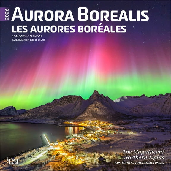 Aurora Borealis | 2026 12x24" (Hanging) Wall Calendar | Plastic-Free | BrownTrout