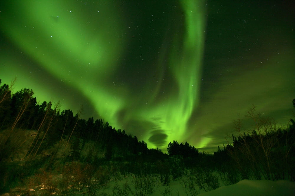 Aurora Borealis Above Teslin Yukon Canvas Art - Robert Postma Design Pics (17 x 11)