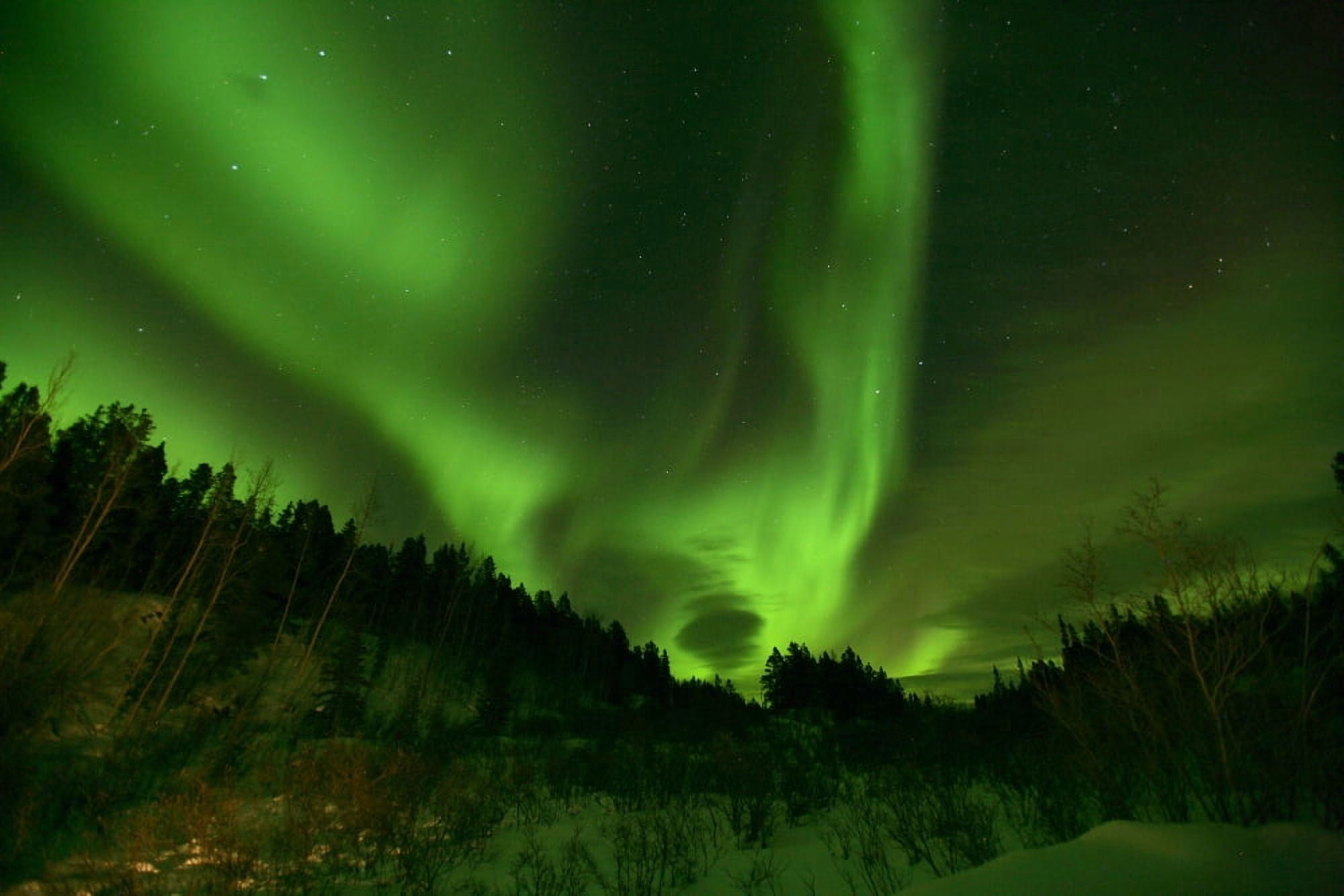 Aurora Borealis Above Teslin Yukon Canvas Art - Robert Postma Design Pics (34 x 22)