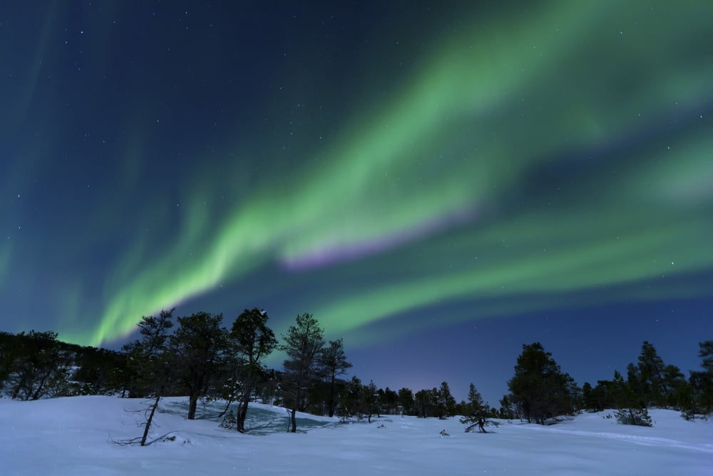 Aurora Borealis Forramarka Troms Norway Canvas Art - Arild HeitmannStocktrek Images (17 x 12)