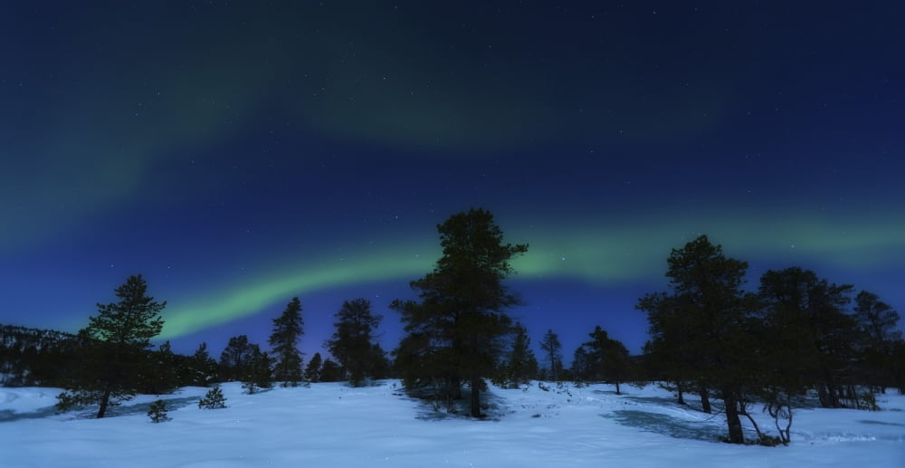 Aurora Borealis Forramarka Troms Norway Canvas Art - Arild HeitmannStocktrek Images (20 x 10)