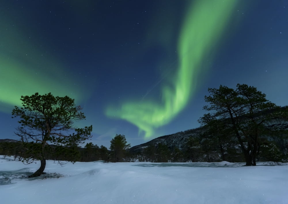 Aurora Borealis Forramarka Troms Norway Canvas Art - Arild HeitmannStocktrek Images (33 x 24)