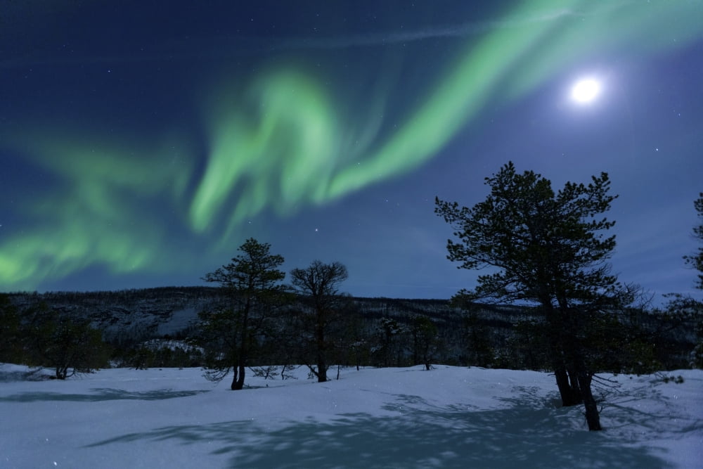 Aurora Borealis Forramarka Troms Norway Canvas Art - Arild HeitmannStocktrek Images (34 x 23)