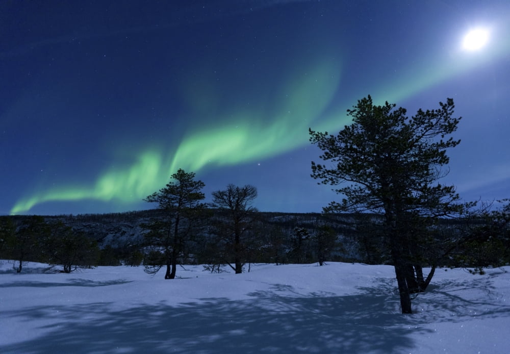 Aurora Borealis Forramarka Troms Norway Canvas Art - Arild HeitmannStocktrek Images (34 x 24)