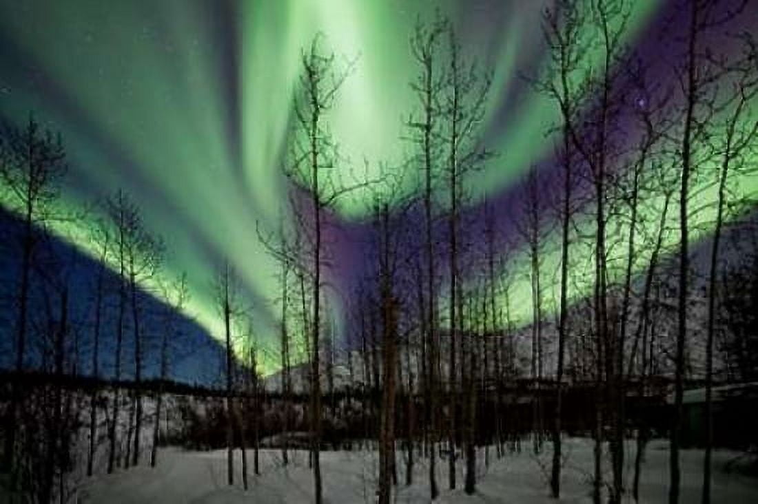 Aurora Borealis IX Canvas Art - Larry Malvin (24 x 36)