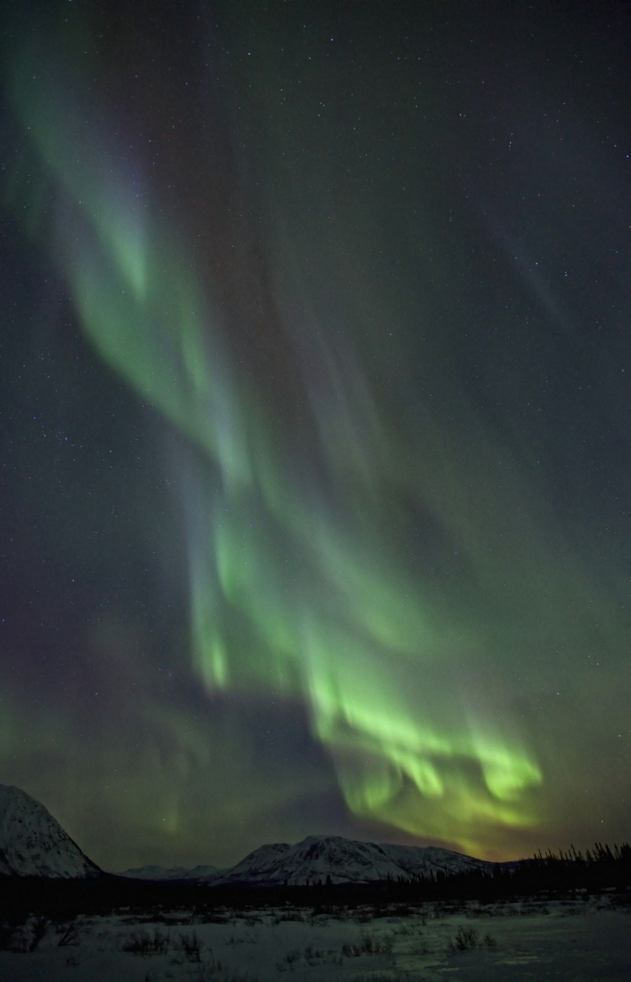 Aurora Borealis Or Northern Lights Above The Mountains Near Whitehorse Yukon Canvas Art - Robert Postma Design Pics (11 x 17)