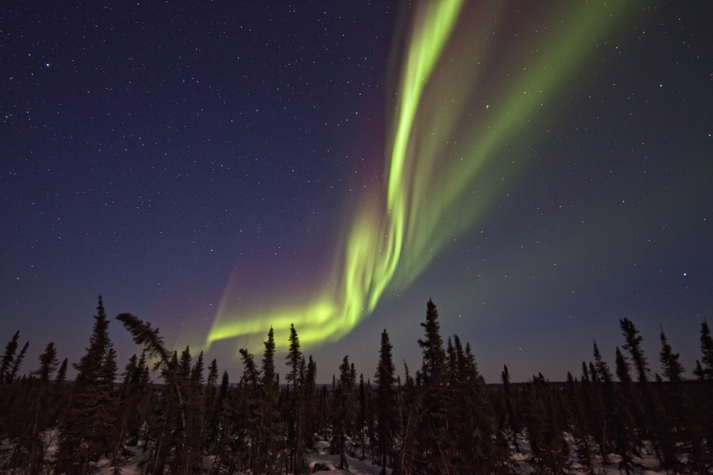 Aurora Borealis Or Northern Lights Over The Eagle Plains Dempster Highway Yukon Canvas Art - Robert Postma Design Pics (17 x 11)