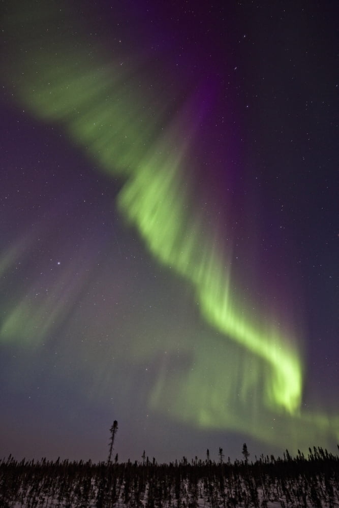 Aurora Borealis Or Northern Lights Over The Eagle Plains Dempster Highway Yukon Canvas Art - Robert Postma Design Pics (22 x 34)