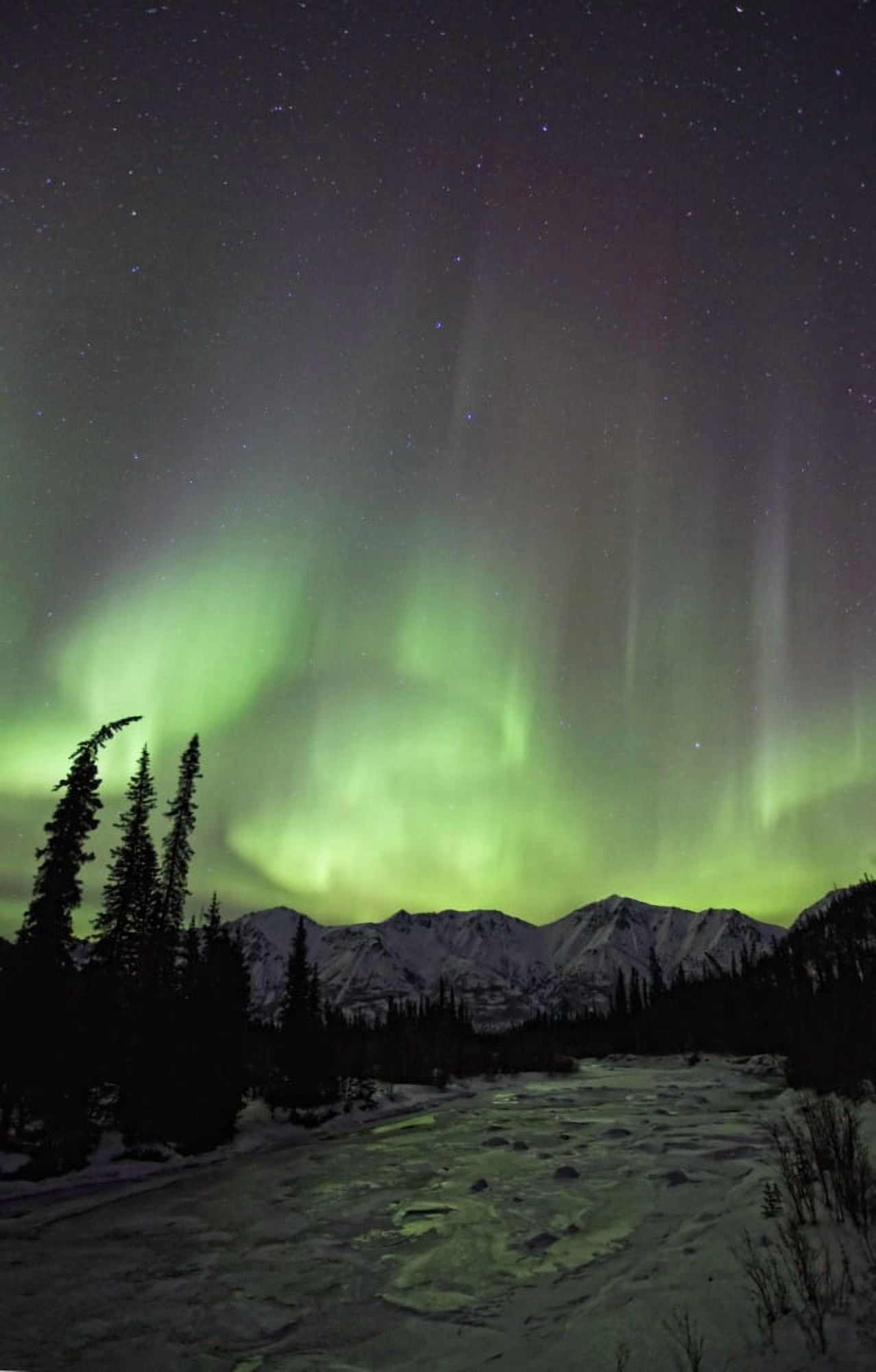 Aurora Borealis Over The Wheaton River Yukon Canvas Art - Robert Postma Design Pics (11 x 17)