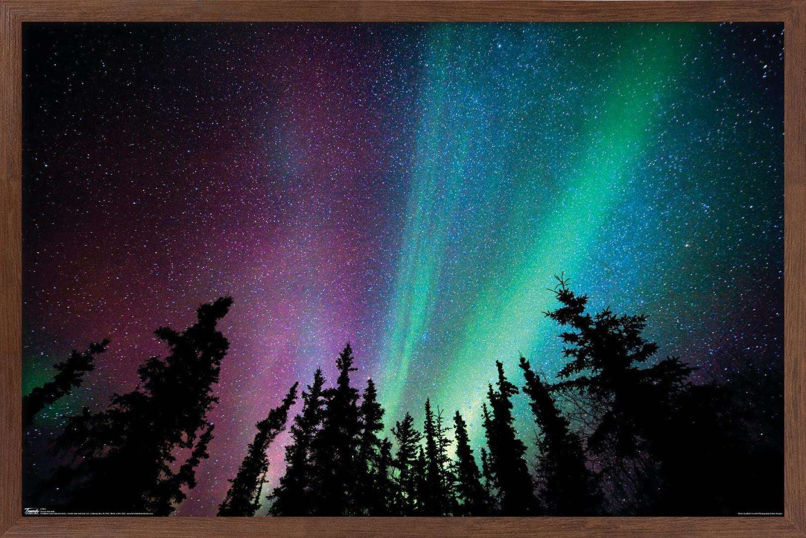 Aurora Borealis - Sky Wall Poster, 14.725" x 22.375", Framed