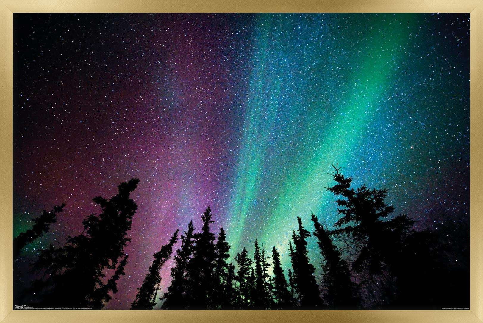 Aurora Borealis - Sky Wall Poster, 14.725" x 22.375", Framed