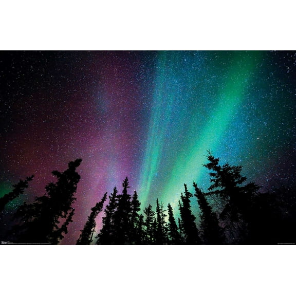 Aurora Borealis - Sky Wall Poster, 14.725" x 22.375"