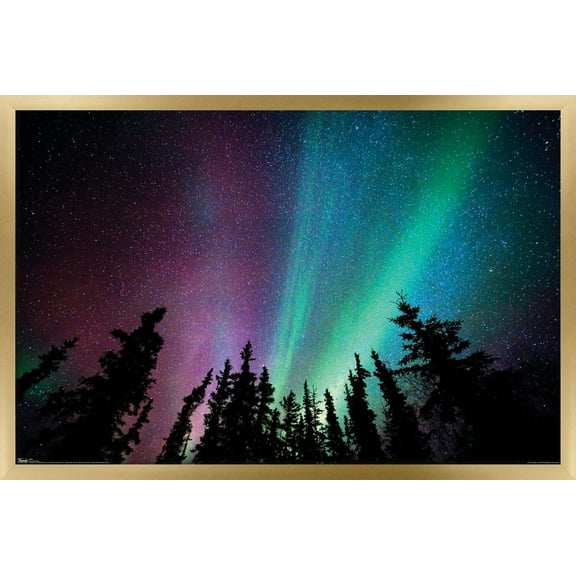 Aurora Borealis - Sky Wall Poster, 22.375" x 34", Framed