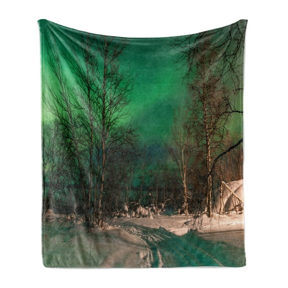 Aurora Borealis Soft Flannel Fleece Throw Blanket, Snowy Frozen Road Path Between Leafless Trees Finland Park, Cozy Plush for Indoor and Outdoor Use, 50" x 60", Jade Green Brown White, by Ambesonne