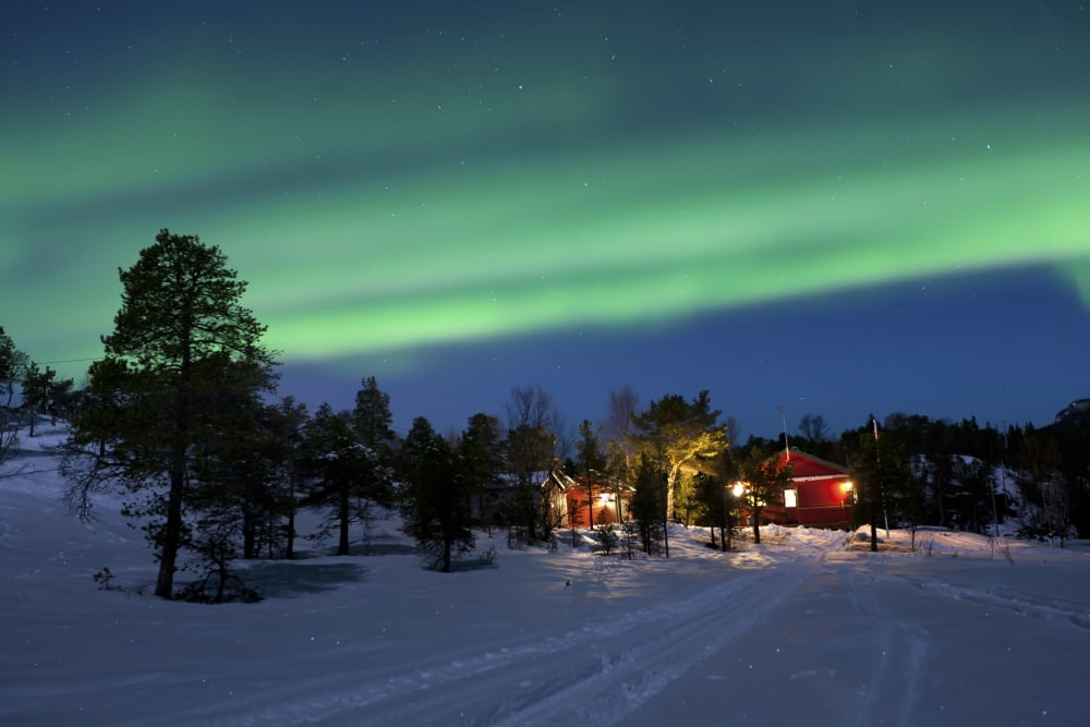 Aurora Borealis Tennevik Lake Troms Norway Canvas Art - Arild HeitmannStocktrek Images (34 x 23)