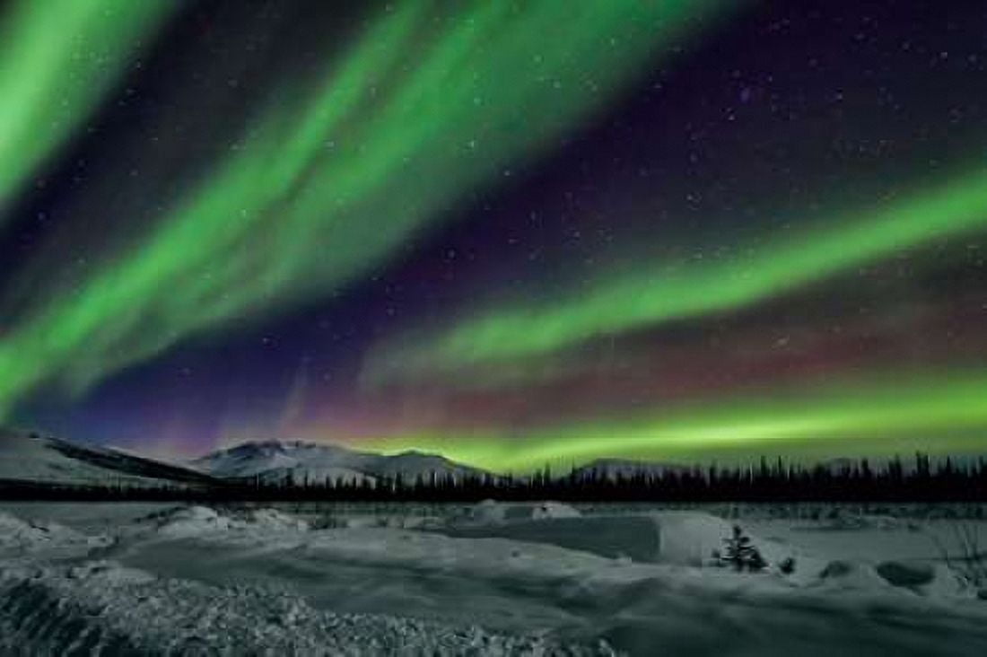 Aurora Borealis V Canvas Art - Larry Malvin (12 x 18)