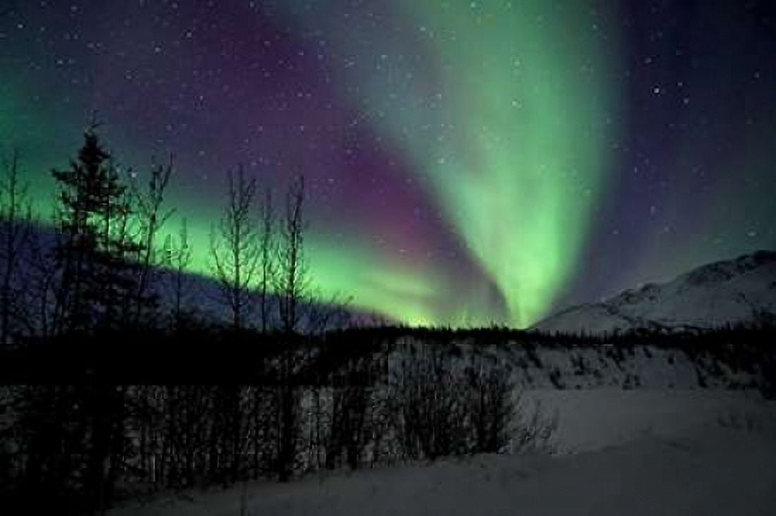Aurora Borealis VII Canvas Art - Larry Malvin (12 x 18)