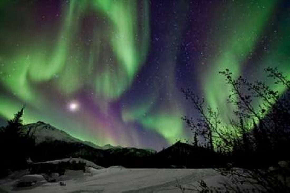 Aurora Borealis VIII Canvas Art - Larry Malvin (24 x 36)