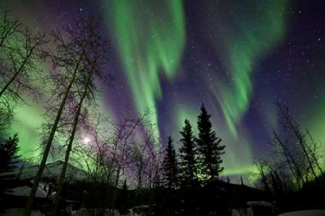 Aurora Borealis X Canvas Art - Larry Malvin (24 x 36)