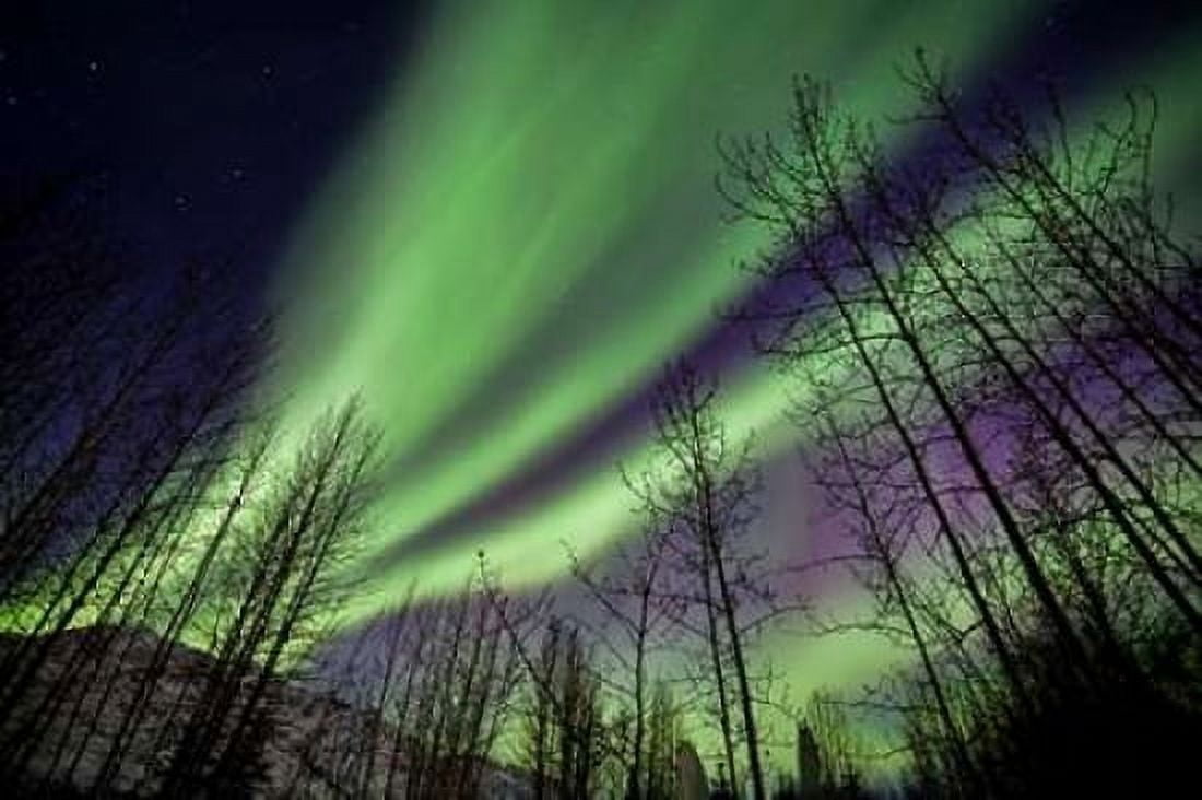 Aurora Borealis XI Canvas Art - Larry Malvin (12 x 18)