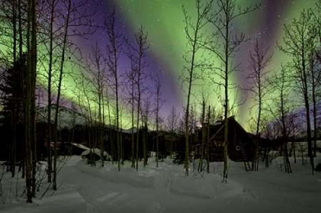 Aurora Borealis XII Canvas Art - Larry Malvin (24 x 36)