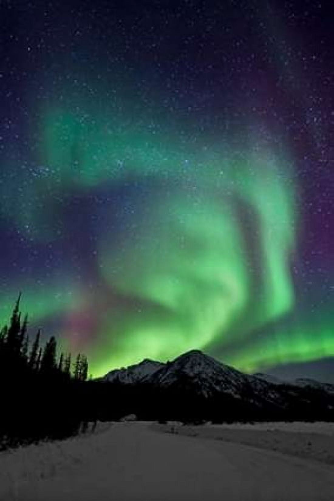 Aurora Borealis XIII Canvas Art - Larry Malvin (24 x 36)